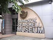 貝殻博物館外観